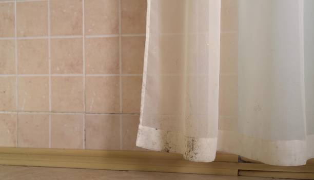 Best Dehumidification Services  in Belton, TX