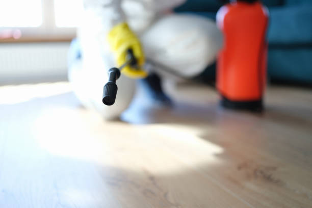  Belton, TX Mold Removal Pros