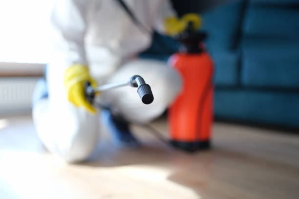Best Post-Construction Mold Inspection  in Belton, TX